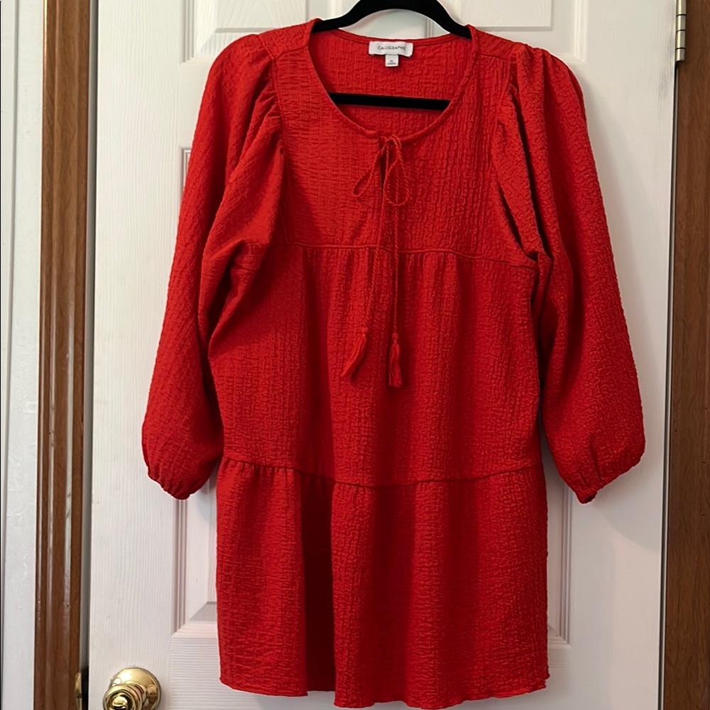 Vibrant Red 3/4 Sleeve Scoop Neck Dress